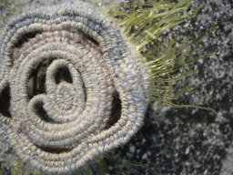 Csepelenyi Adrienn kosar 2009